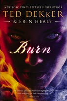 Cover image for An Burn, isbn: 9781595548207
