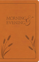 Cover image for Morning and Evening, isbn: 9781598565706