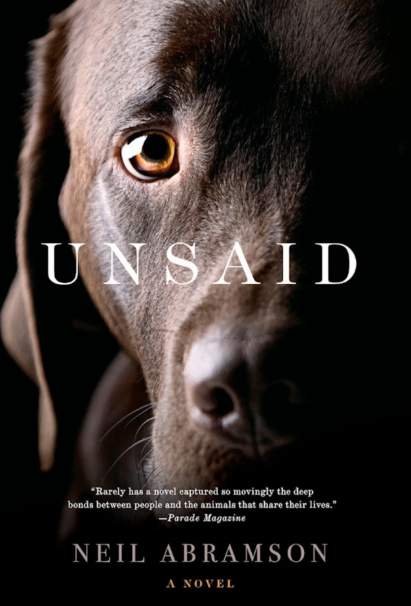 Cover image for Unsaid, isbn: 9781599954097