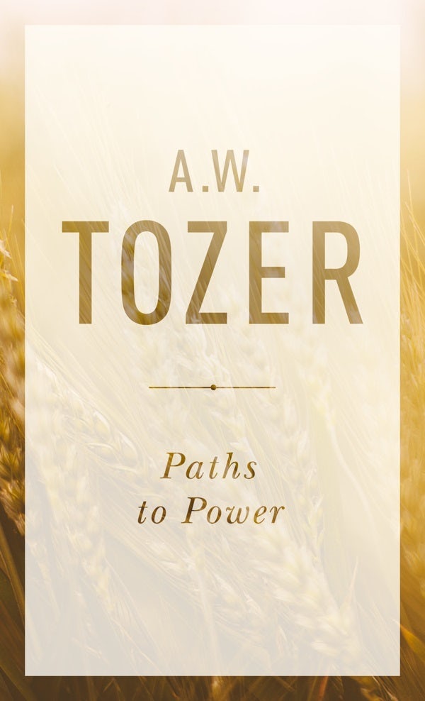 Cover image for Paths to Power, isbn: 9781600660054