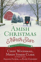 Cover image for Amish Christmas at North Star, isbn: 9781601428141