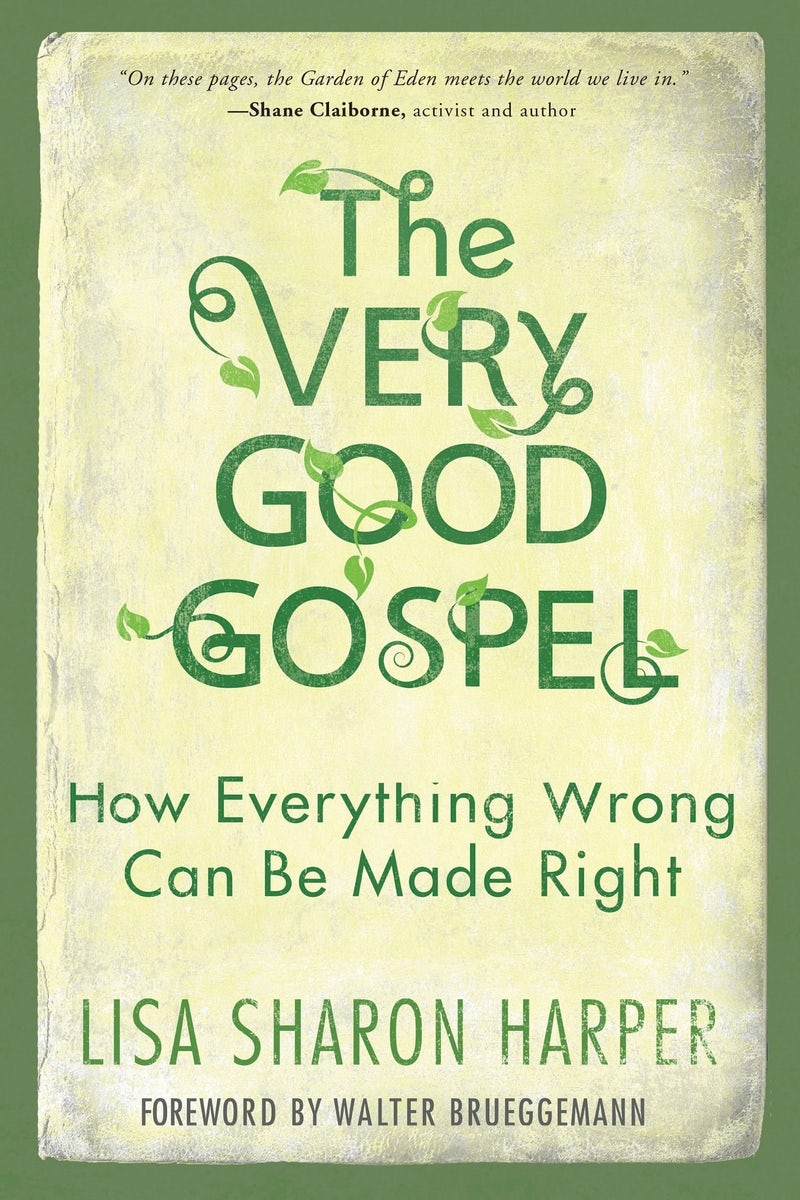 Cover image for The Very Good Gospel, isbn: 9781601428585