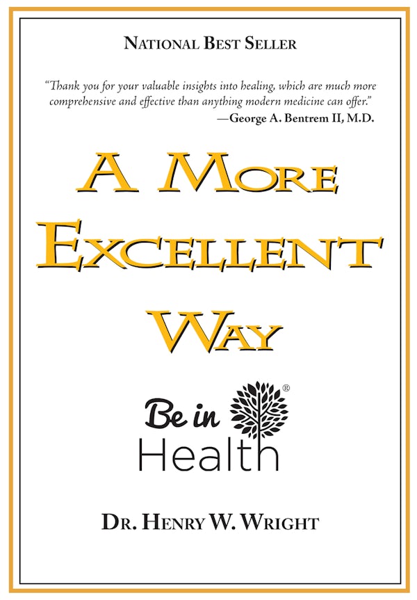 Cover image for A More Excellent Way, isbn: 9781603741019