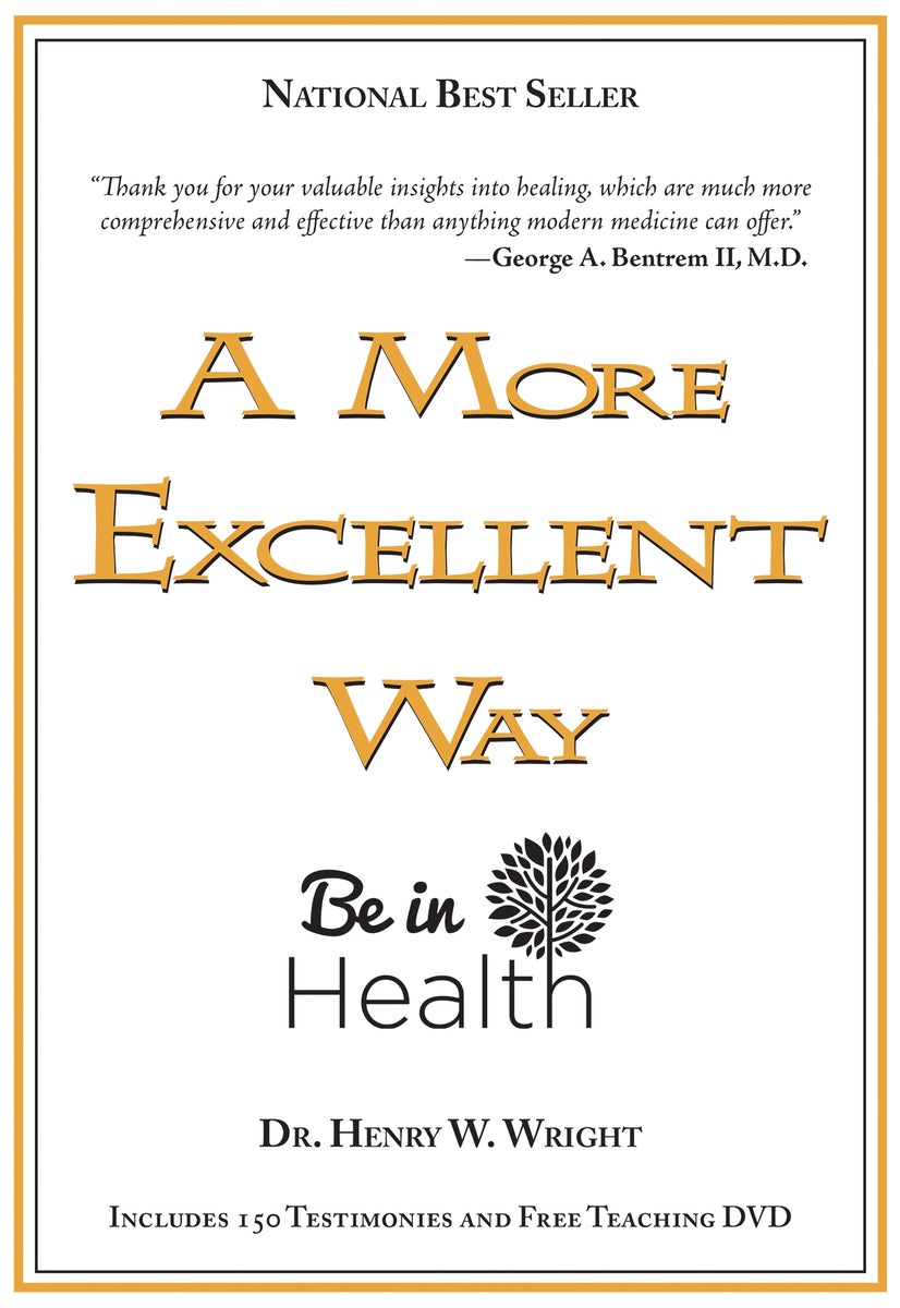 Cover image for A More Excellent Way, isbn: 9781603741019