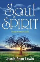 Cover image for Soul and Spirit, isbn: 9781603744966