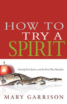 Cover image for How to Try a Spirit, isbn: 9781603749602
