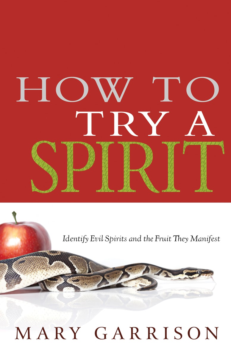 Cover image for How to Try a Spirit, isbn: 9781603749602