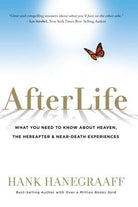 Cover image for Afterlife, isbn: 9781617957963
