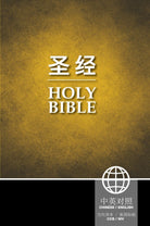 Cover image for Chinese/English Bilingual Bible-PR-FL/NIV, isbn: 9781623370770