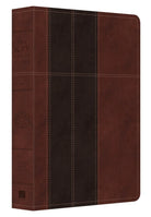 Cover image for Study Bible-KJV, isbn: 9781628369571