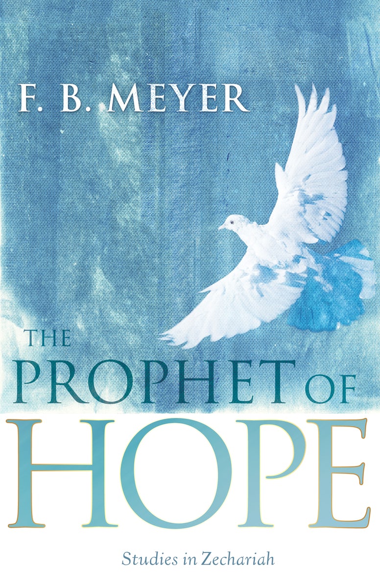 Cover image for The Prophet of Hope, isbn: 9781629113555