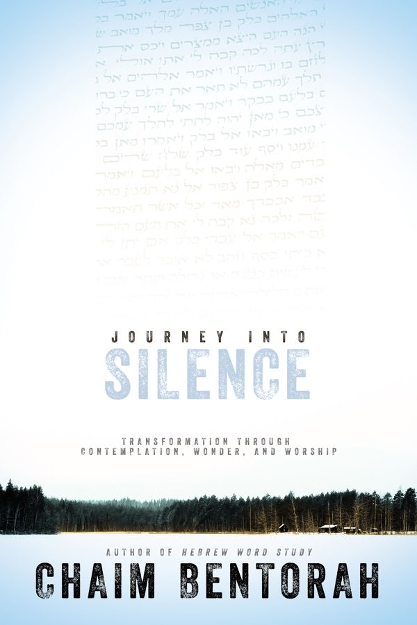 Cover image for Journey Into Silence, isbn: 9781629119120