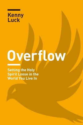 Cover image for Overflow, isbn: 9781631468988