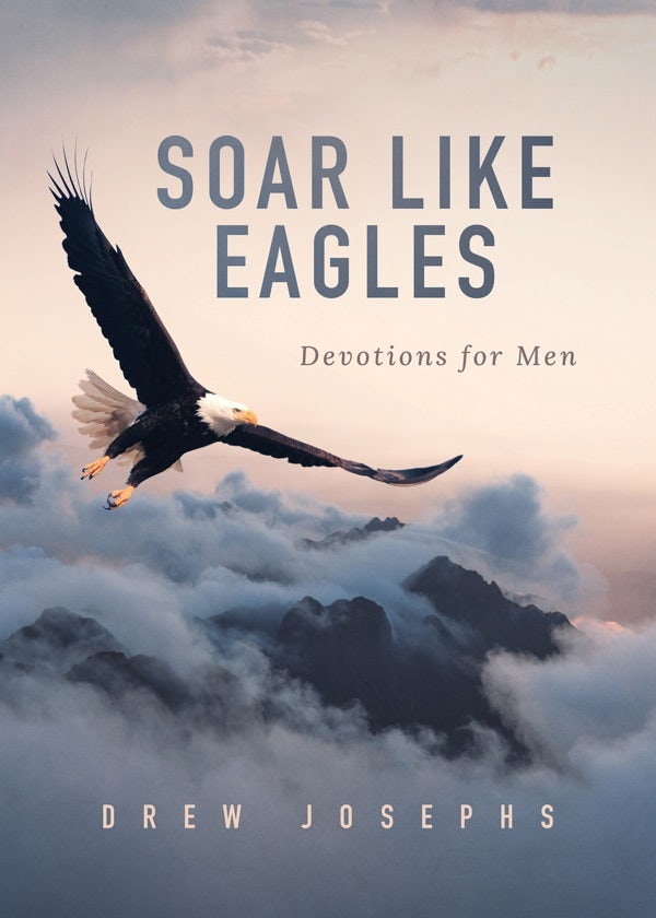 Cover image for Soar Like Eagles, isbn: 9781636095554