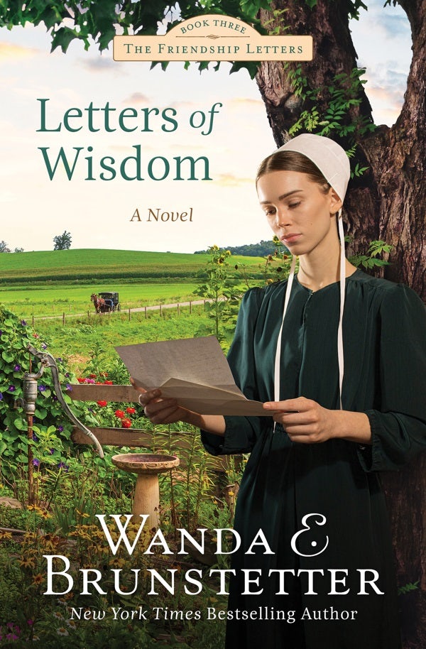 Cover image for Letters of Wisdom, isbn: 9781636096223