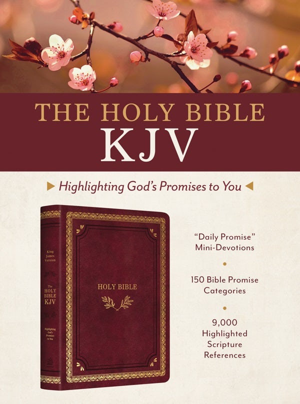 Cover image for The Holy Bible Kjv: Highlighting God's Promises to You [Crimson & Gold], isbn: 9781636097541