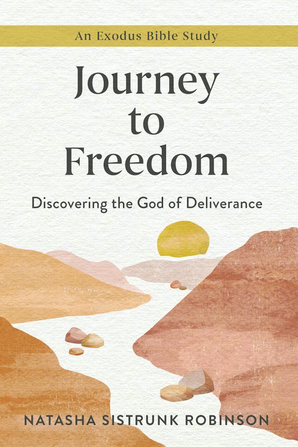 Cover image for Journey to Freedom, isbn: 9781640701618
