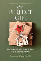 Cover image for The Perfect Gift, isbn: 9781640703377