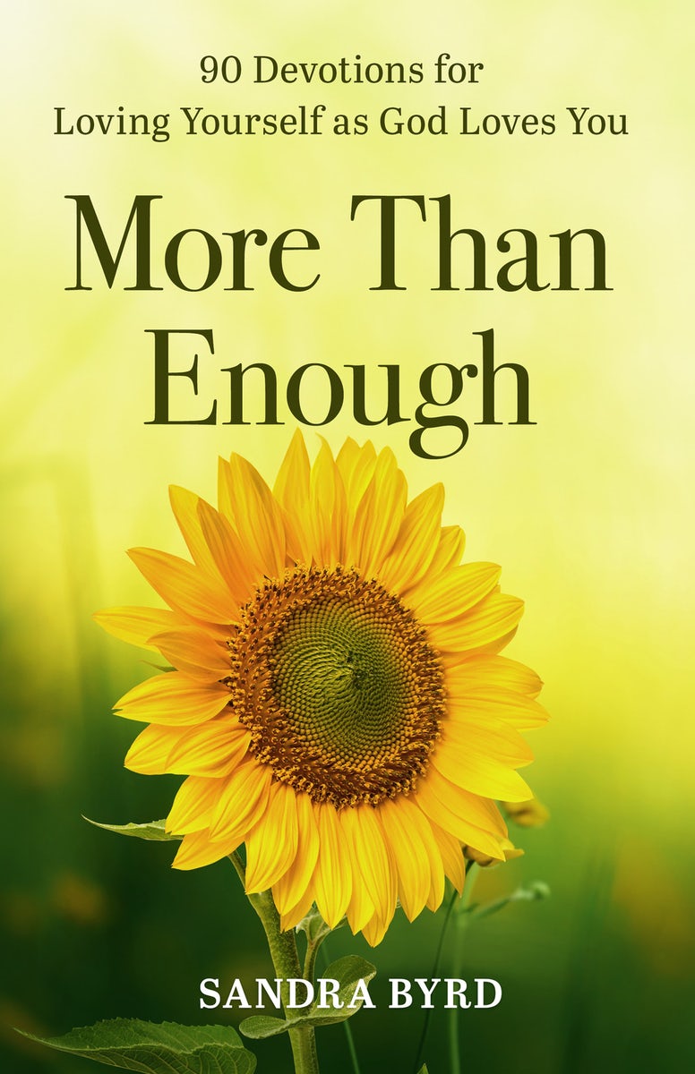 Cover image for More Than Enough, isbn: 9781640704077