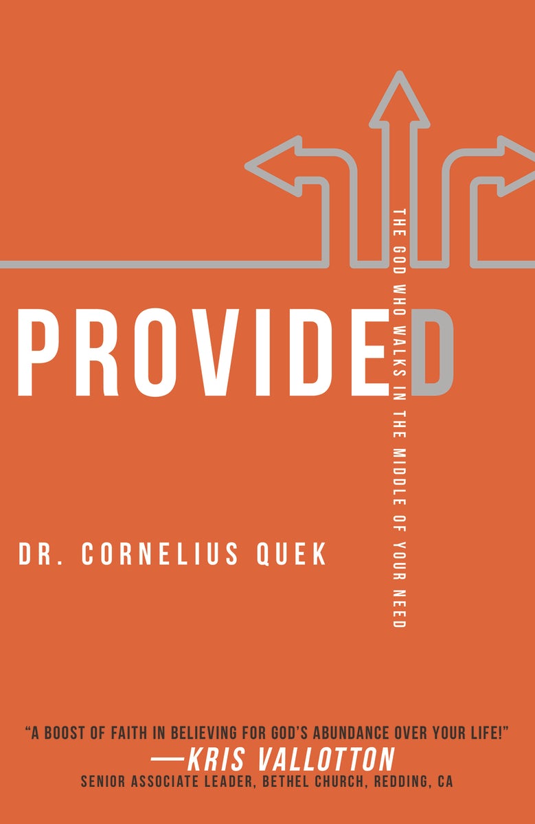 Cover image for Provided, isbn: 9781641230032