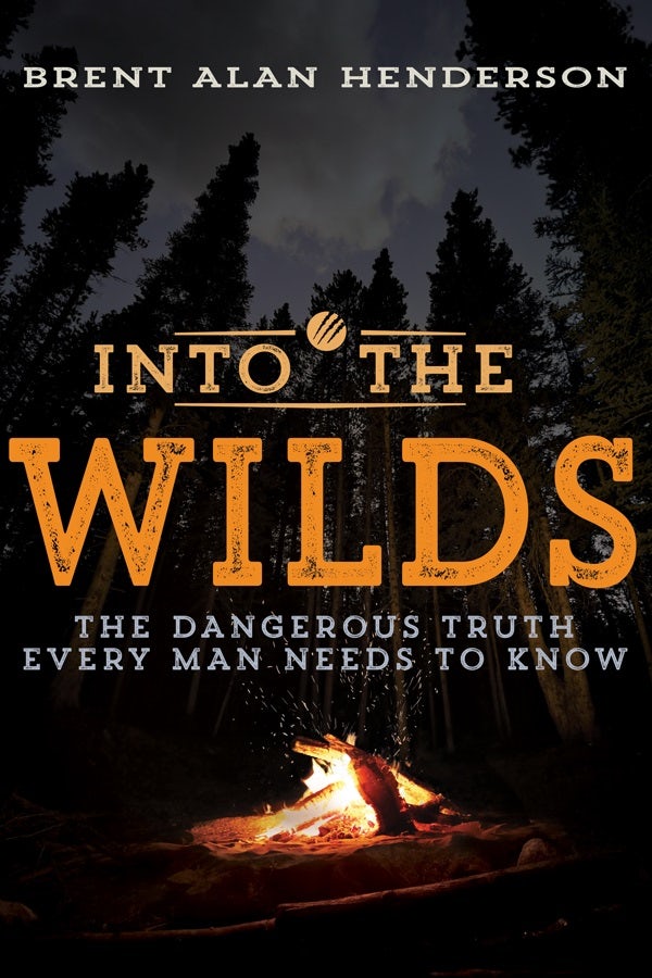 Cover image for Into the Wilds, isbn: 9781641230049