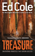 Cover image for Treasure, isbn: 9781641233774