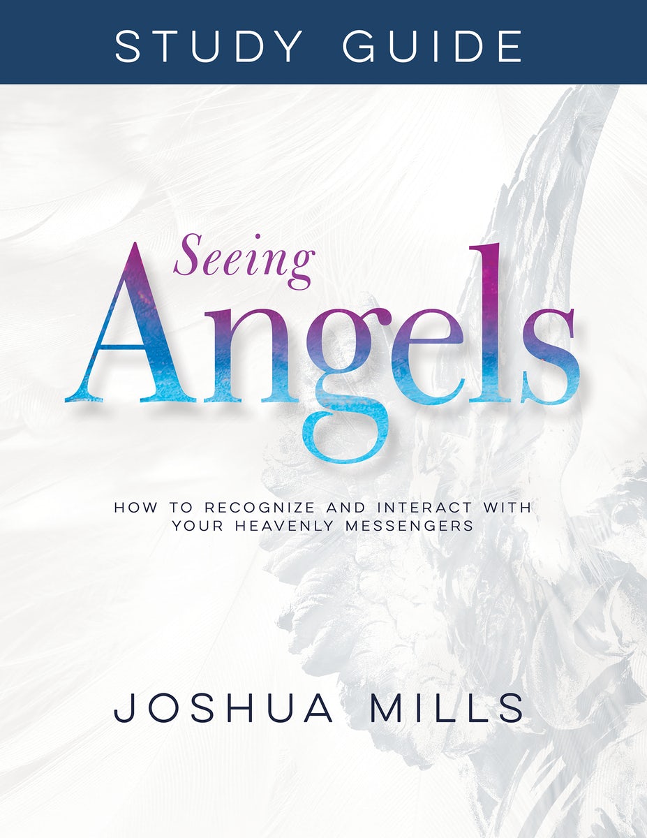 Cover image for Seeing Angels Study Guide, isbn: 9781641234207