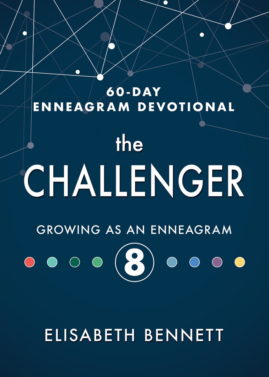 Cover image for The Challenger, isbn: 9781641235785