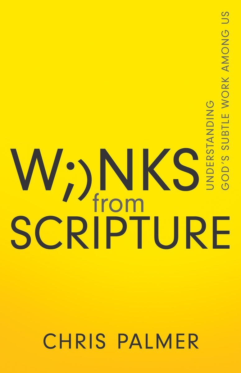 Cover image for Winks from Scripture, isbn: 9781641238465