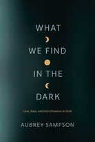 Cover image for What We Find in the Dark, isbn: 9781641583121