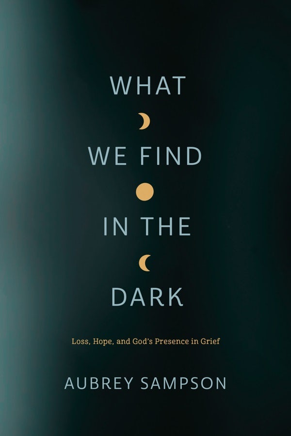 Cover image for What We Find in the Dark, isbn: 9781641583121