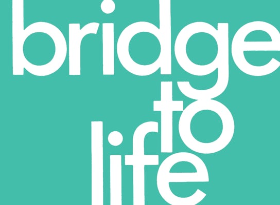 Cover image for Bridge to Life (Green) 25-Pack, isbn: 9781641583251