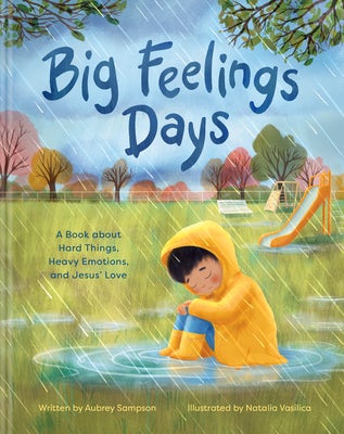 Cover image for Big Feelings Days, isbn: 9781641586894