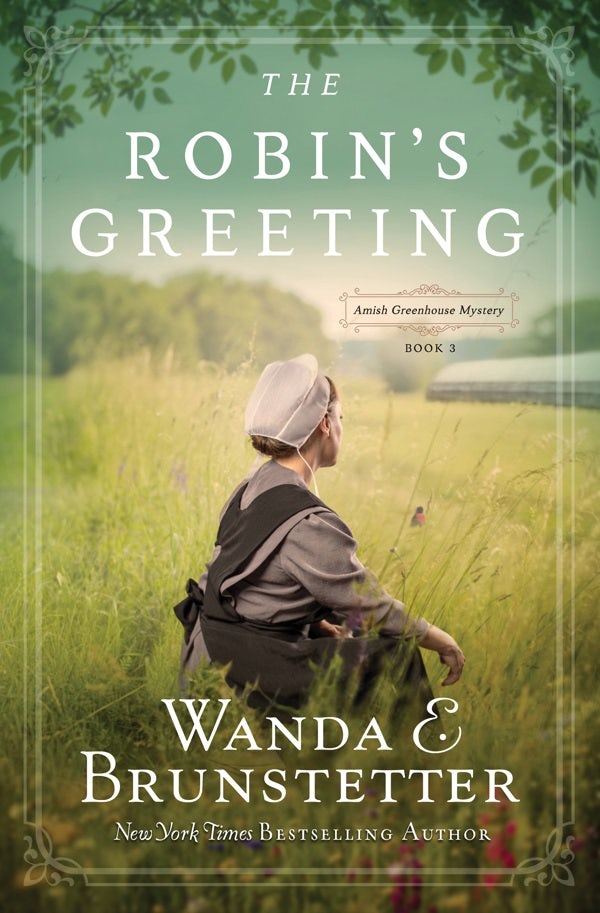 Cover image for The Robin's Greeting, isbn: 9781643524795