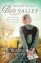 Cover image for Return to the Big Valley, isbn: 9781643528717