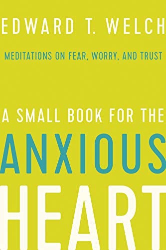 Cover image for A Small Book for the Anxious Heart, isbn: 9781645070368