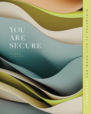 Cover image for You Are Secure, isbn: 9781645074274