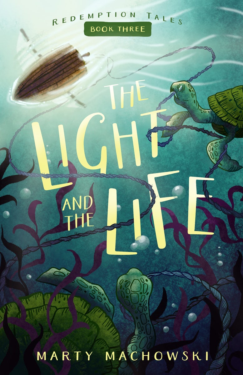 Cover image for The Light and the Life, isbn: 9781645074915