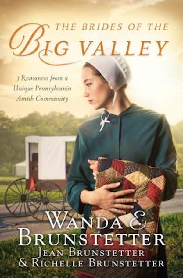 Cover image for The Brides of the Big Valley, isbn: 9781683228868