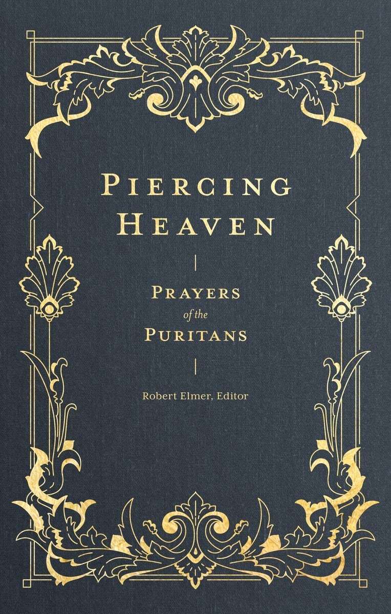 Cover image for Piercing Heaven, isbn: 9781683593348