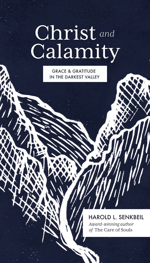 Cover image for Christ and Calamity, isbn: 9781683594451