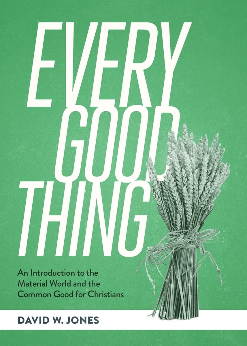 Cover image for Every Good Thing, isbn: 9781683598633