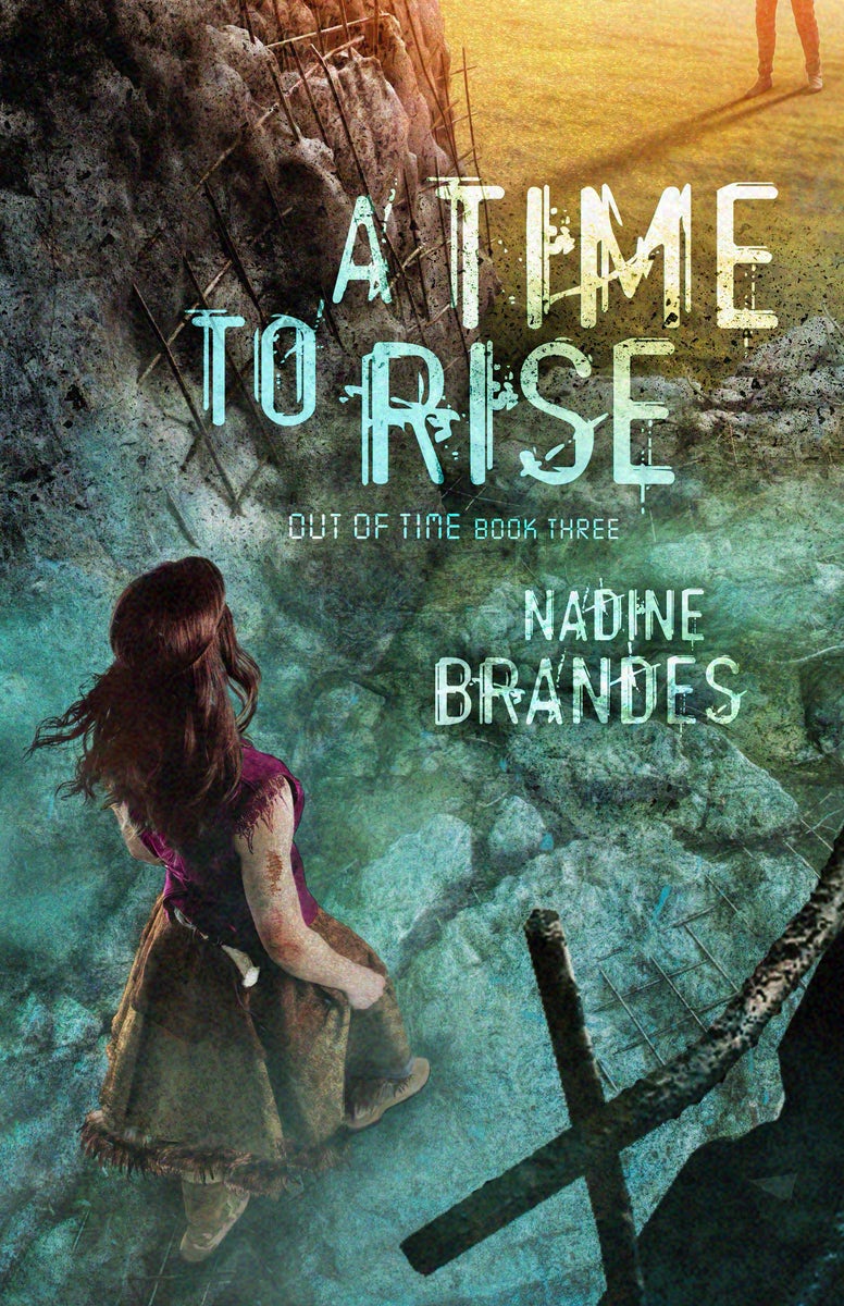 Cover image for A Time to Rise, isbn: 9781683700463