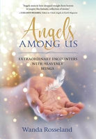 Cover image for Angels Among Us, isbn: 9781683970514