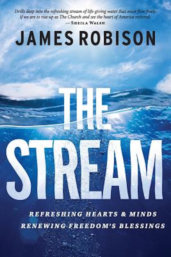 Cover image for The Stream, isbn: 9781683973140