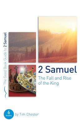 Cover image for 2 Samuel: The Fall and Rise of the King, isbn: 9781784982195