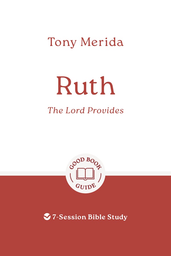 Cover image for Ruth: The Lord Provides, isbn: 9781802541557