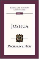 Cover image for Joshua, isbn: 9781844742615
