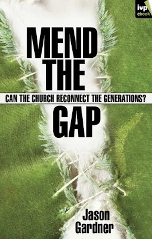 Cover image for Mend the Gap, isbn: 9781844742844