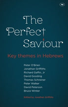 Cover image for The Perfect Saviour, isbn: 9781844745838